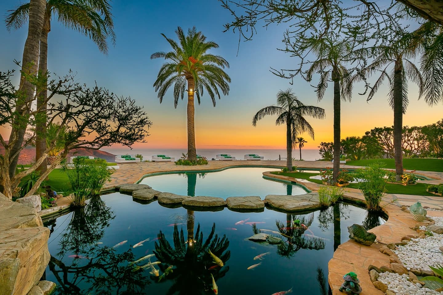 Pond and palms at sunset
